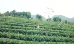 渔乐圈最新爆料,最新爆料背后的惊人真相